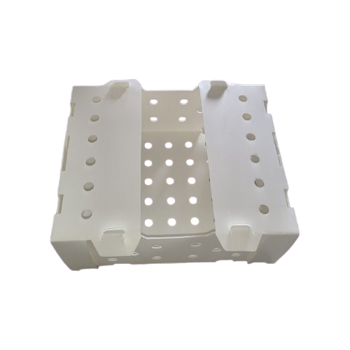 Plastic Corrugated Box